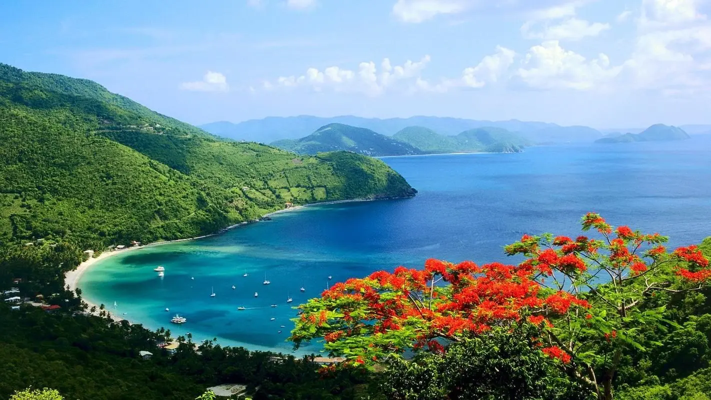 可靠性稳定性高效